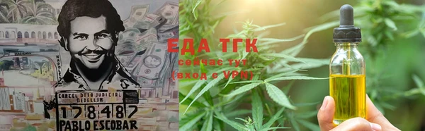 гашик Пестово