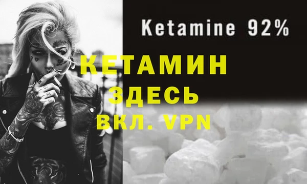 шишки Переславль-Залесский