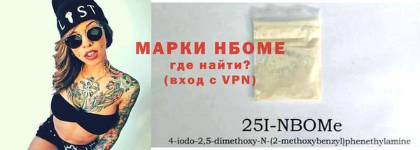 гашик Пестово
