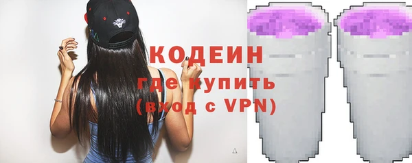 шишки Переславль-Залесский