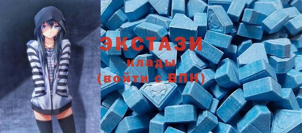 гашик Пестово
