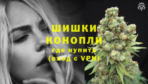 шишки Переславль-Залесский