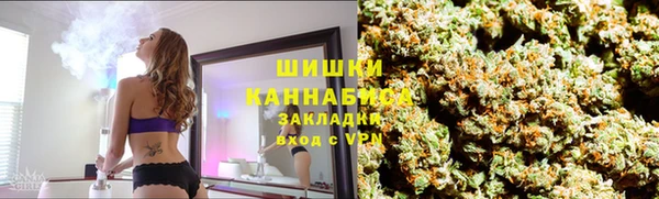шишки Переславль-Залесский