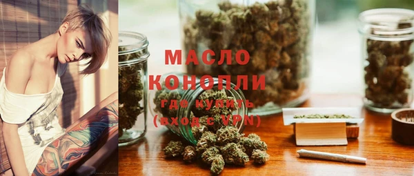 гашик Пестово