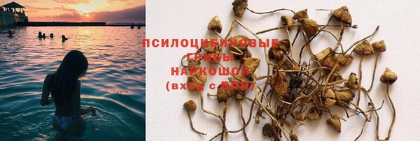 гашик Пестово