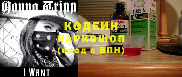 гашик Пестово