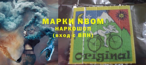 гашик Пестово
