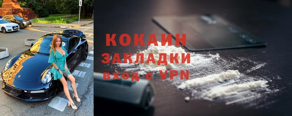 гашик Пестово