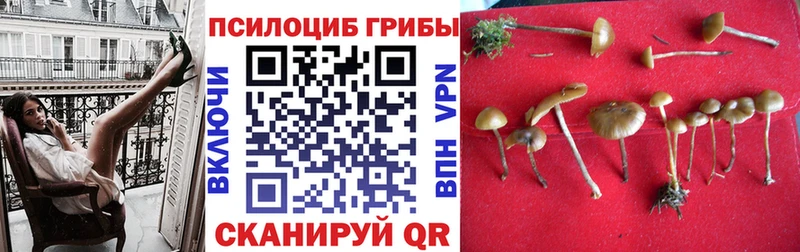 Псилоцибиновые грибы Psilocybine cubensis Топки