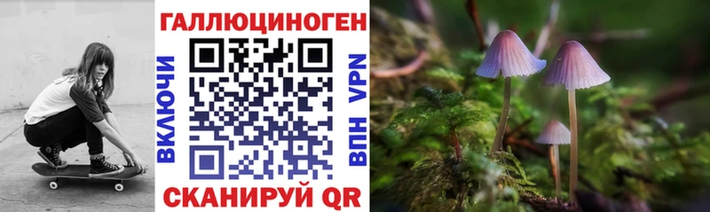 Псилоцибиновые грибы Psilocybe  как найти закладки  Топки 