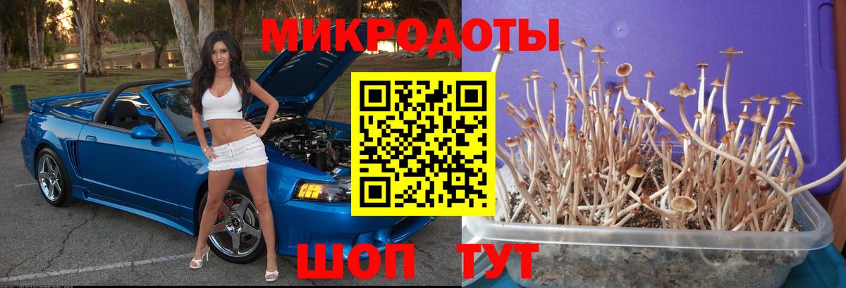 Галлюциногенные грибы MAGIC MUSHROOMS  Псилоцибиновые грибы Cubensis  Топки  Вход с VPN 